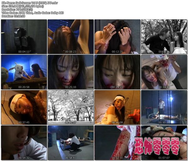 Sadi-Scream-Vol-5-2007-JAP.mkv.jpg